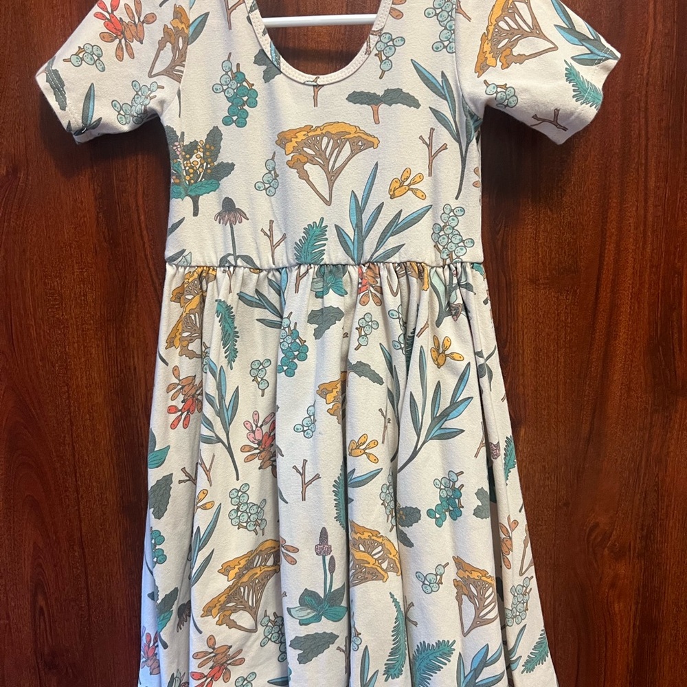 Alice and Ames The Short Sleeve Ballet Dress. Good condition.